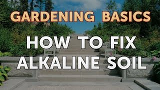 How to Fix Alkaline Soil [upl. by Suilenroc]