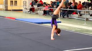 2016 IL State Boys Gymnastics Championships  Charley Thompson [upl. by Ysdnyl]