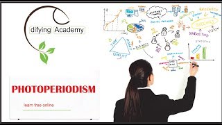 PHOTOPERIODISM  FOR NEET amp NCERT BOARD [upl. by Ixela]