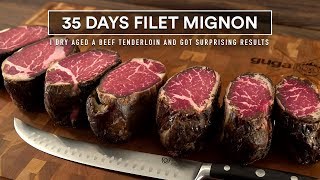 35 Days FILET MIGNON Dry Aged Experiment [upl. by Evars]