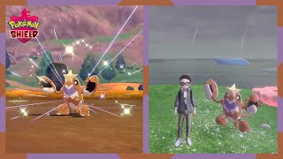 Shiny Crawdaunt after 1097 Soft Resets  Pokemon Sword amp Shield [upl. by Jervis792]