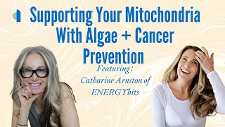 Supporting Your Mitochondria With Algae  Cancer Prevention  Catharine Arnston of ENERGYbits [upl. by Brooking554]