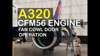 AIRCRAFT  A320 CFM56  Opening and Closing of Engine Cowl Doors [upl. by Corella]