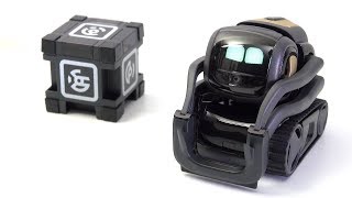 Anki Vector Home Robot REVIEW [upl. by Htebaile]