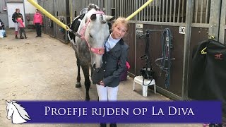 Tessa haar eerste FNRS dressuur proefje F1B op La Diva  Hart voor Paarden [upl. by Brittnee]