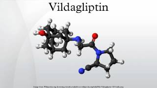 Vildagliptin [upl. by Akcimat]