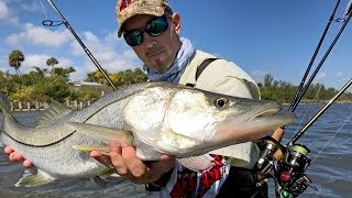 MultiSpecies Wade Fishing on the Indian River  4K [upl. by Mata]