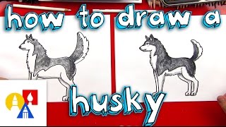 How To Draw A Husky [upl. by Marpet]