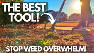 ByeBye Weeds The Best Weeding Tool Revealed [upl. by Adamski]