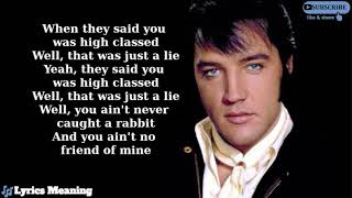 Elvis Presley  Hound Dog  Lyrics Meaning [upl. by Teteak564]