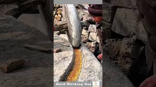 The Process Of Grinding Corn Kernels [upl. by Elodie]