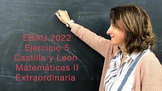 EBAU 2022 Ejercicio 5 Matemáticas II CYL Extraordinaria lasmatesdemila3221 [upl. by Buote349]