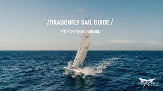 Dragonfly Sail Guide  Stronger wind conditions [upl. by Kama149]