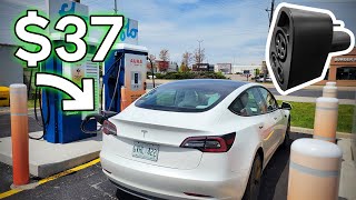 I Got The CHEAPEST Tesla CCS Adapter Heres What Happened [upl. by Archangel]