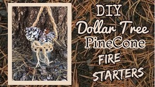 EASY DIY Dollar Tree PINECONE FIRE STARTERS  Dollar Tree DIY [upl. by Web]