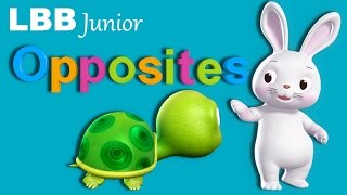 Opposites Song  Original Songs  By LBB Junior [upl. by Sonni406]