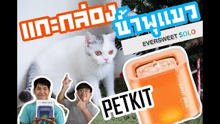 รีวิวน้ำพุแมวรุ่นใหม่ล่าสุด PETKIT EVERSWEET SOLO ปี2021 สี่สีสวยงาม ของต้องมีสำหรับทาสแมว [upl. by Tsnre]