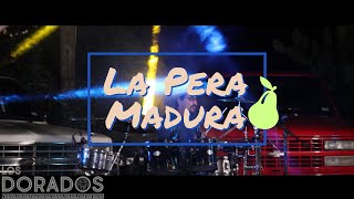 Los Dorados  La Pera Madura En Vivo [upl. by Llenor]