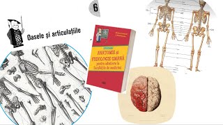 ADMITERE MEDICINA Barron’s  Capitolul 6  Oasele si articulatiile [upl. by Caron]