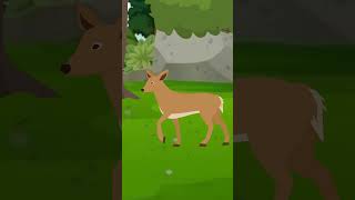 Shak Part 1  One Minute Story  Cartoon  cartoonanimal [upl. by Carlton]