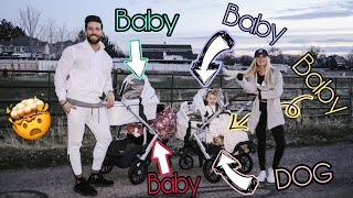 First Family Walk with TRIPLETS a TODDLER and PUPPY  Best Strollers Ever [upl. by Artemisia]