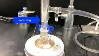 Diels Alder Reaction Experiment Part 2 Reflux and Isolation [upl. by Eihcra]