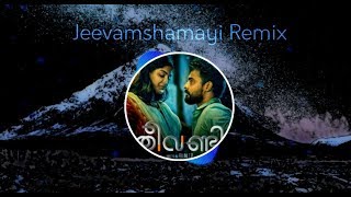 Jeevamshamayi Song Remix  Theevandi [upl. by Auburn]