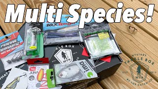 Multi Species Mystery Tackle Box [upl. by Agathy]