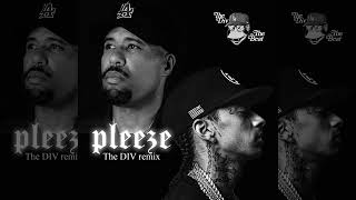 Dom Kennedy feat Nipsey HulePleezeThe DIV remix [upl. by Debee653]