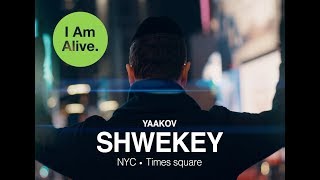 SHWEKEY  I Am Alive [upl. by Estey]