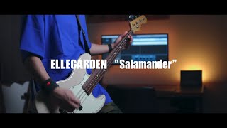 【ELLEGARDENSalamander】ベース弾いてみた 耳コピ 『4K動画』 [upl. by Zebaj]