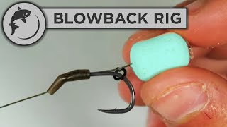 How To Tie A Blowback Rig For Carp Fishing Easy To Tie Carp Rig [upl. by Aitret]