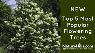 New Top 5 Most Popular Flowering Trees  NatureHillscom [upl. by Laumas]