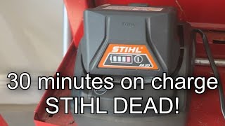 Stihl AK20 and AK30 Battery Recharge Times Are TERRIBLE [upl. by Aivatnahs]