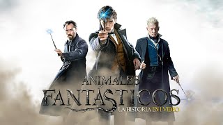 🔴 TN LIVE 85 Animais Fantásticos e os Crimes de Grindelwald [upl. by Nyleikcaj]