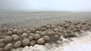 Ice Balls forming along Lake Michigan near Glen Arbor [upl. by Ahtebat959]