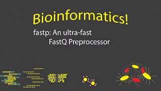 Bioinformatics  fastp FastQ Preprocessing Tool Timestamps [upl. by Flora]