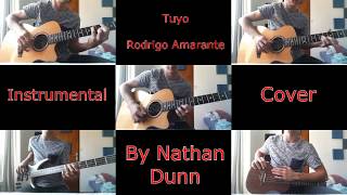 Rodrigo Amarante  Tuyo  Instrumental Cover by Nathan Dunn [upl. by Ornas]