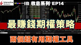 💹IB收息系列💹 EP14 IB 最賺錢期權策略 介紹兩個超有用期權工具 IB教學 IB 債券 IB期權 期權策略 [upl. by Willms70]