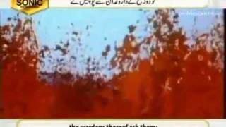 Sura Mulk  Beautiful Recitation by Qari Syed Sadaqat Ali [upl. by Fasano]