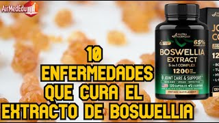 10 Enfermedades que Cura el Extracto de Boswellia [upl. by Kermie]