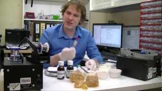 DIY solder flux with rosin and alcohol [upl. by Schechter]