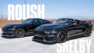 Roush Mustang vs Shelby Mustang A Comparison [upl. by Yenffad517]