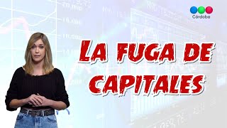 ¿QUÉ ES LA FUGA DE CAPITALES  Telefe Noticias [upl. by Namsu]