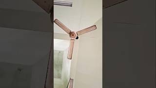 Ceiling fan ceilingfan shorts [upl. by Dnalevelc]