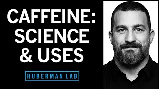 Using Caffeine to Optimize Mental amp Physical Performance  Huberman Lab Podcast 101 [upl. by Arbba314]