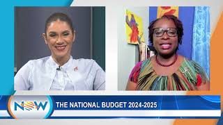 The National Budget 20242025 [upl. by Aldarcie]