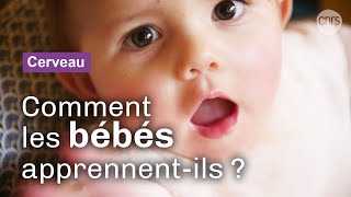 Dans la tête des bébés  Reportage CNRS [upl. by Karyl]