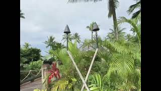 Outrigger beach resort fiji fijiisland outriggerresort outriggerfiji ytvideo yt beachresort [upl. by Torrie]