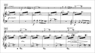 Edvard Grieg  Violin Sonata No 3 Op 45 With score [upl. by Nirol]